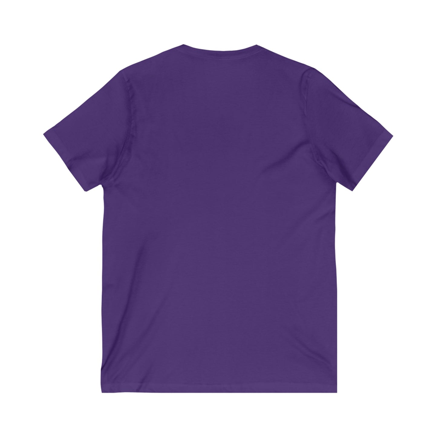 Sunshine & Seltzers V-Neck T-Shirt