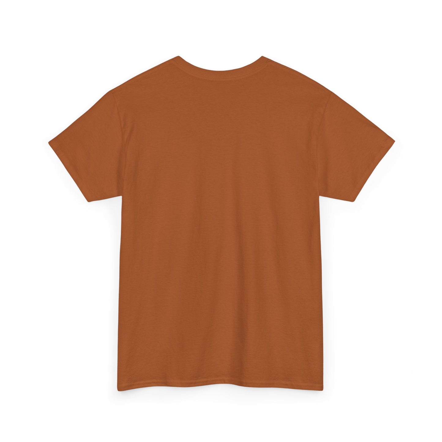 Football Is My Favorite Season T-Shirt