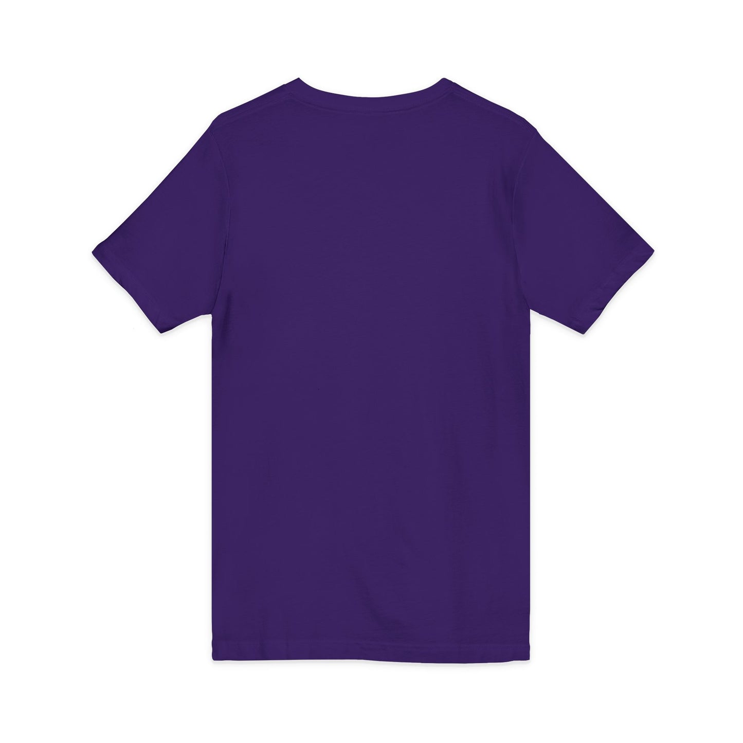 Beach Booze & Besties V-Neck T-Shirt
