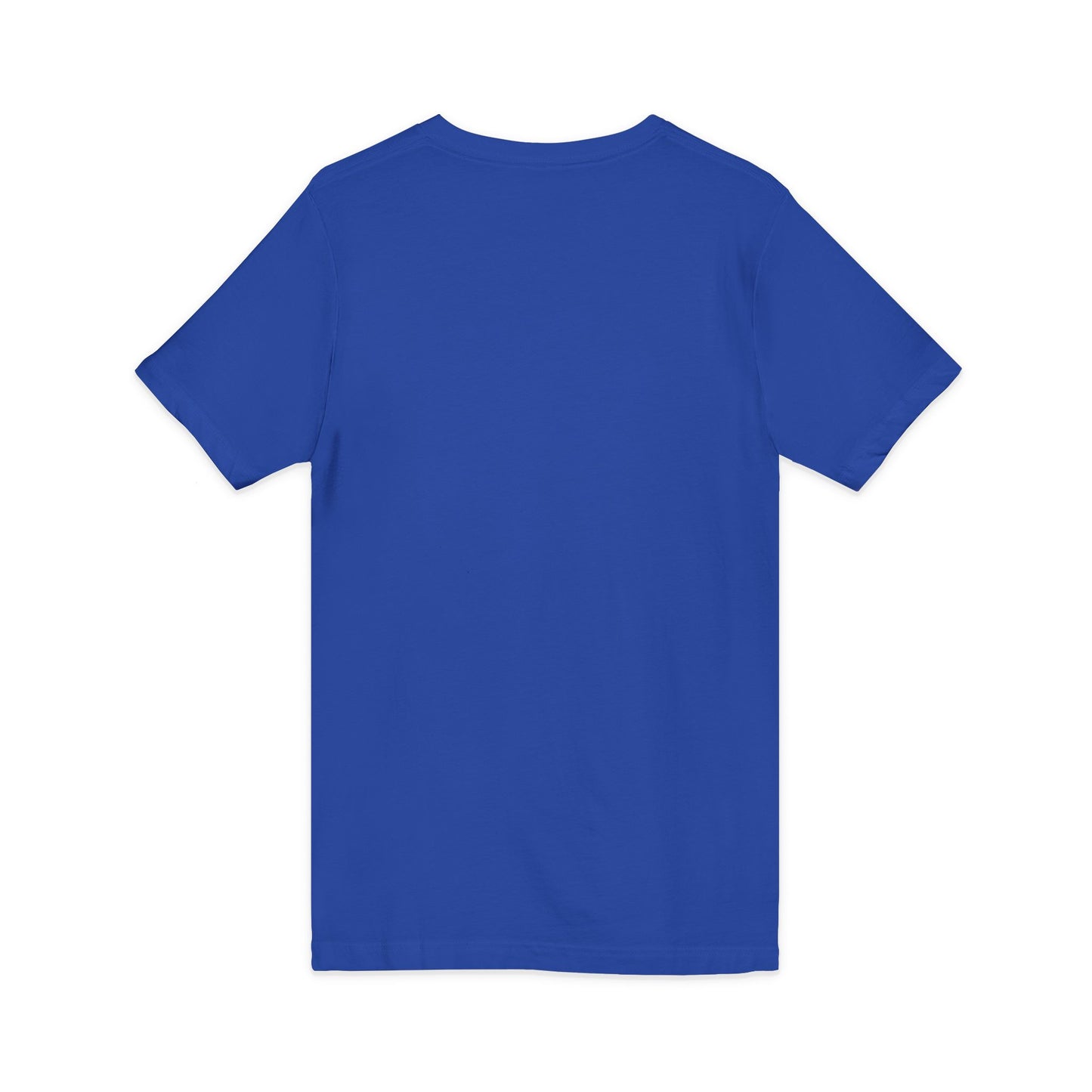 Beach Booze & Besties V-Neck T-Shirt