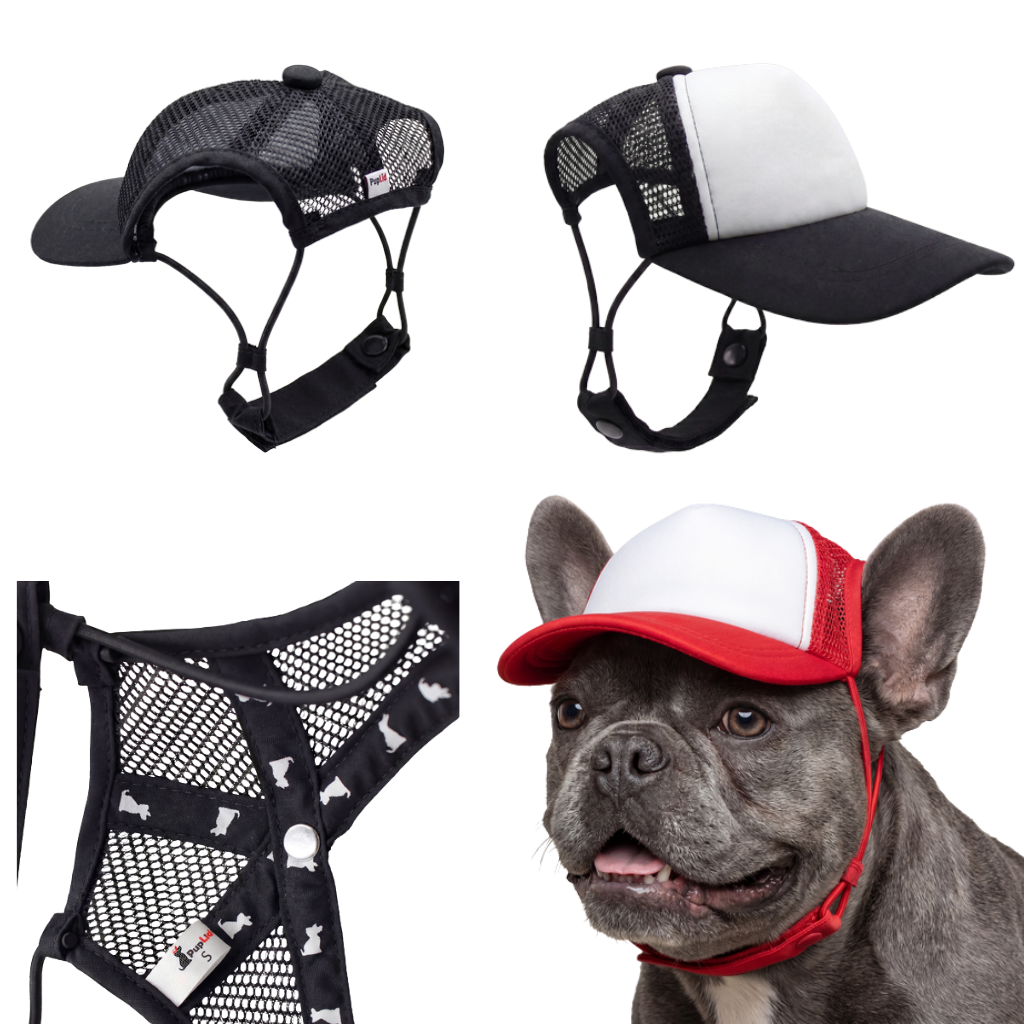 BACON NOW DOG Foam Trucker Hat