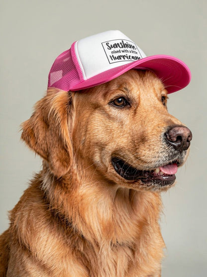 PET Trucker Hat - Sunshine Mixed with a Little HURRICANE Dog Foam Cap