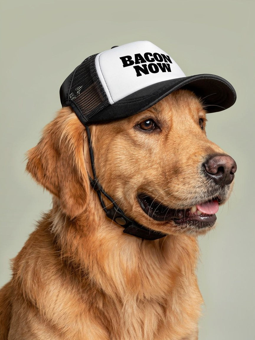 Bacon Now PET Trucker Hat