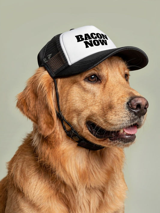 Bacon Now PET Trucker Hat