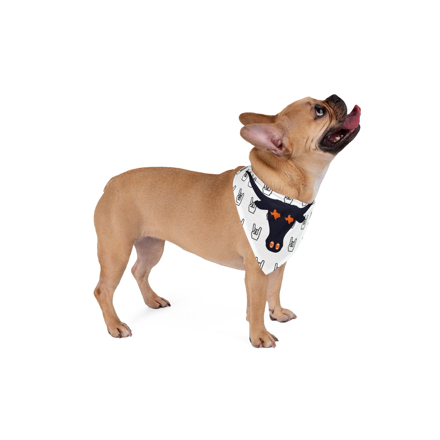 Rockin' Pet Bandana for Longhorn Lovers, Dog Accessories, Festival Gear, Pet Outfit, Cute Dog Wear, Unique Pet Gift
