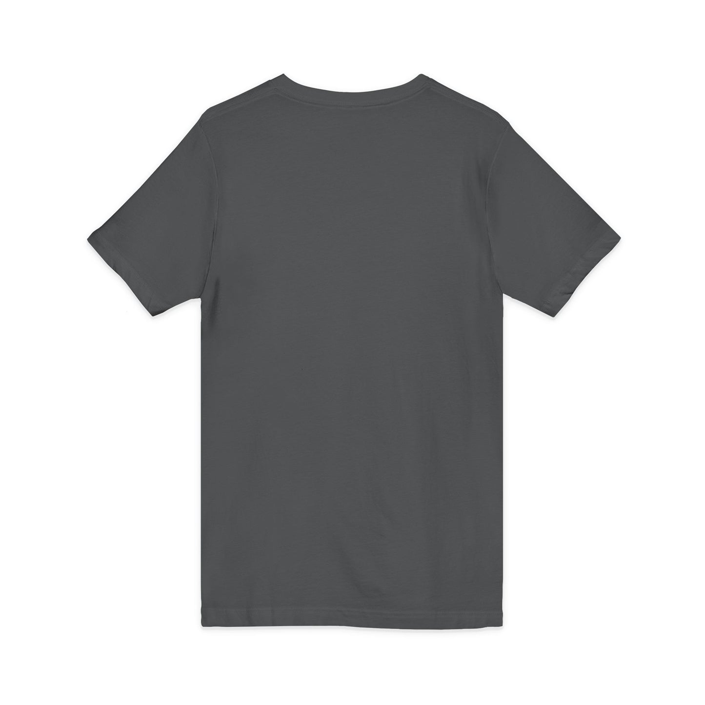 Beach Booze & Besties V-Neck T-Shirt