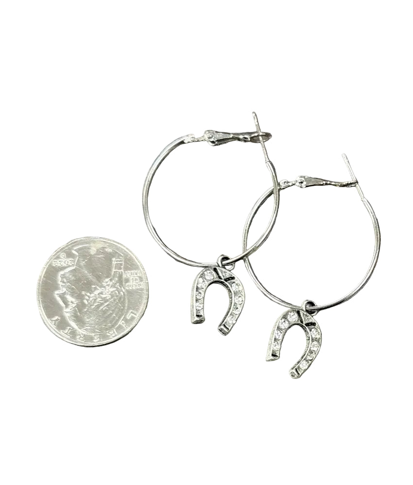 Western Bling Horseshoe Drop Hoop Earrings