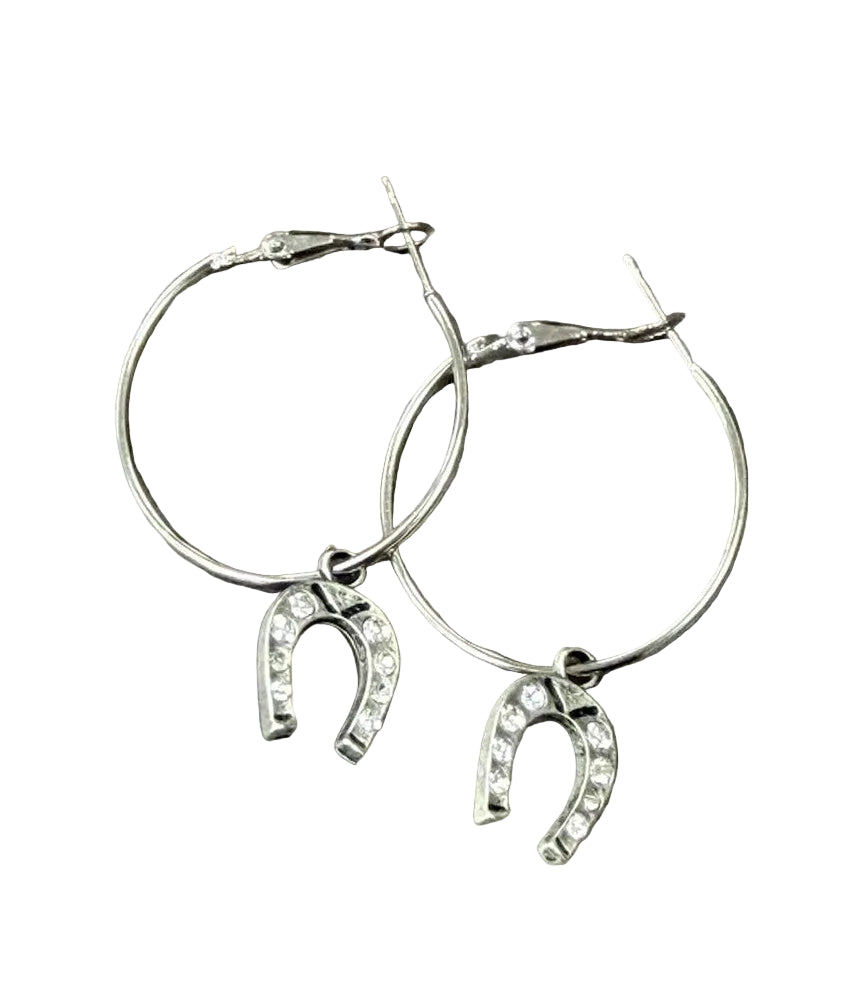 Western Bling Horseshoe Drop Hoop Earrings